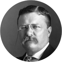 Picture of Theodore Roosevelt